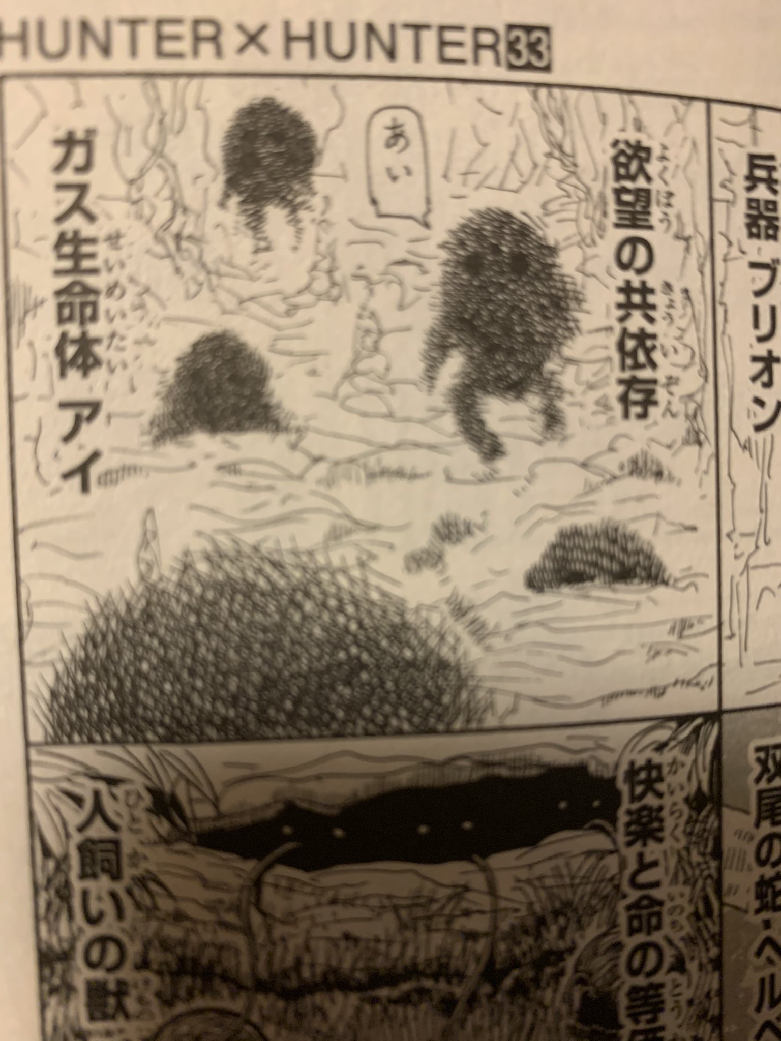 Chiroppu 進化bキャンセル Twitter પર 旦那が教えられた 暗黒大陸から5大厄災の１つ ガス生命体アイ ナニカ ガス生命体とした時 最初のシルバの台詞はただそのまま真実だし 性別 見え方 がキルアと他で違うのも