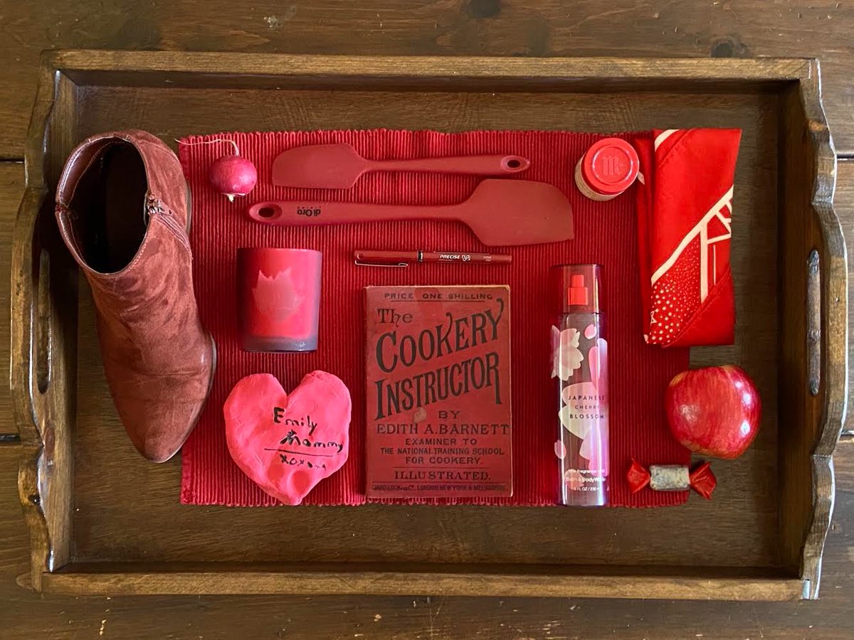 Kristyn Shea tweet media