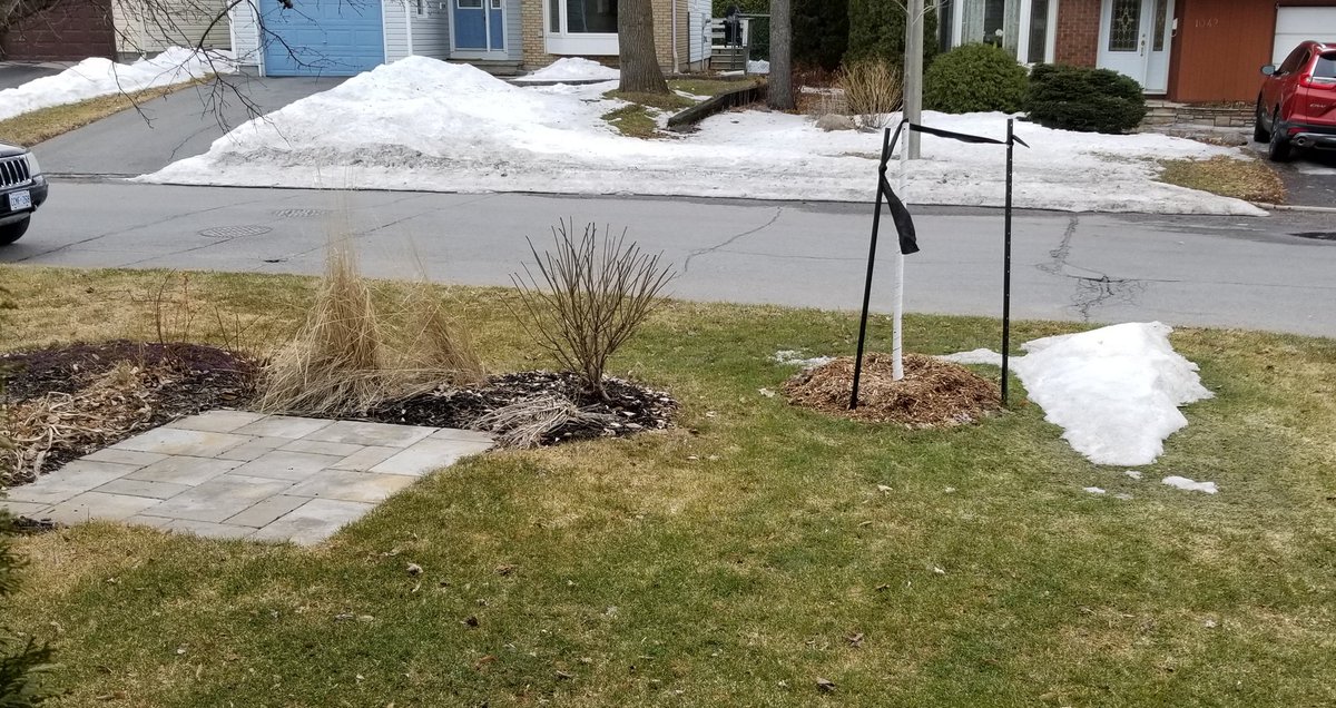 Aujourd'hui en marchant avec votre enfant, je vous propose de regarder où la neige est fondue et où elle persiste. Pouvez-vous déterminer où est le Nord et le Sud? #EcoCECCE #VaMarcher <a href="/ecolecatholique/">CECCE</a>