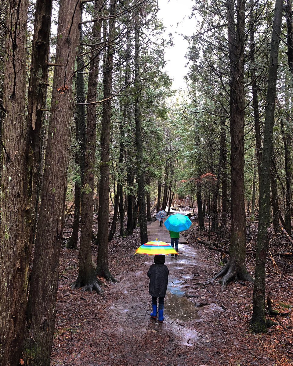 uprunningguelph's tweet image. Because puddles were designed for jumping, right?!☔️🌧 #solobutsocial #takingstepstogether #apartbuttogether #stillweconnect