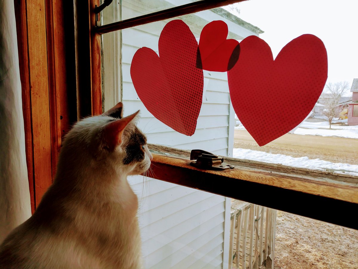 ctisom's tweet image. Hearts and Windows

#AloneTogether #Hearts #COVID19 #LoveFromNorthDakota