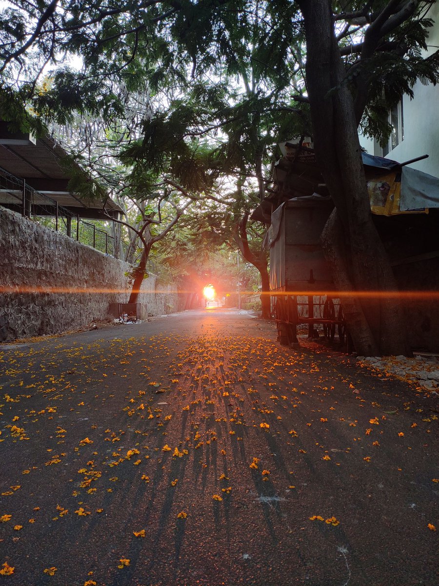 Sunset... The Sun was a fiery ball of fire at the end of an empty flower strewn road. Followed by a yummy glass of sangria courtesy  @SathayePP  #Lockdown21