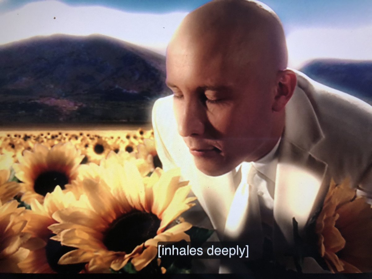 *writes essay about the sunflower motif in Smallville*
