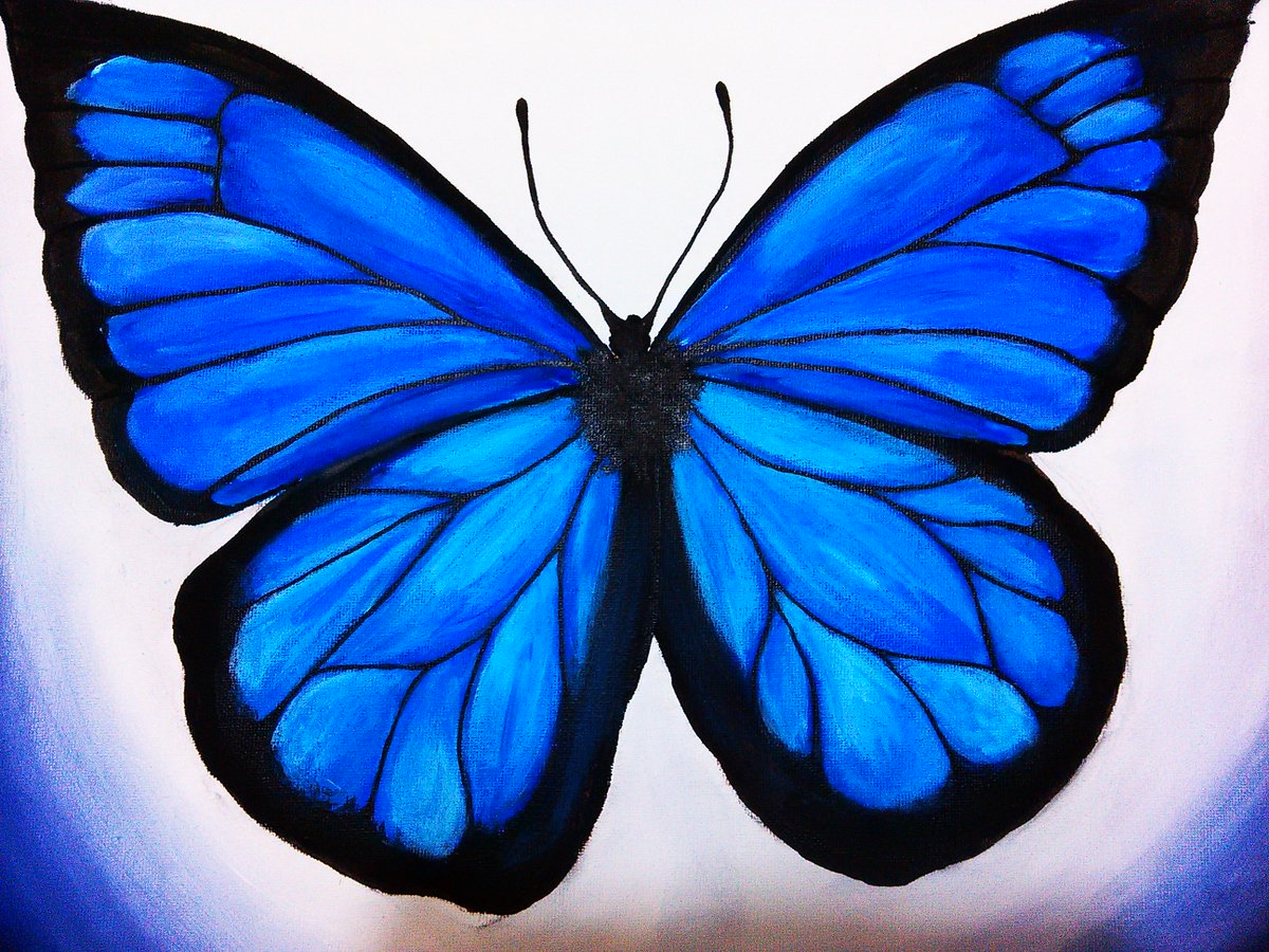 bakewithrahul tweet media