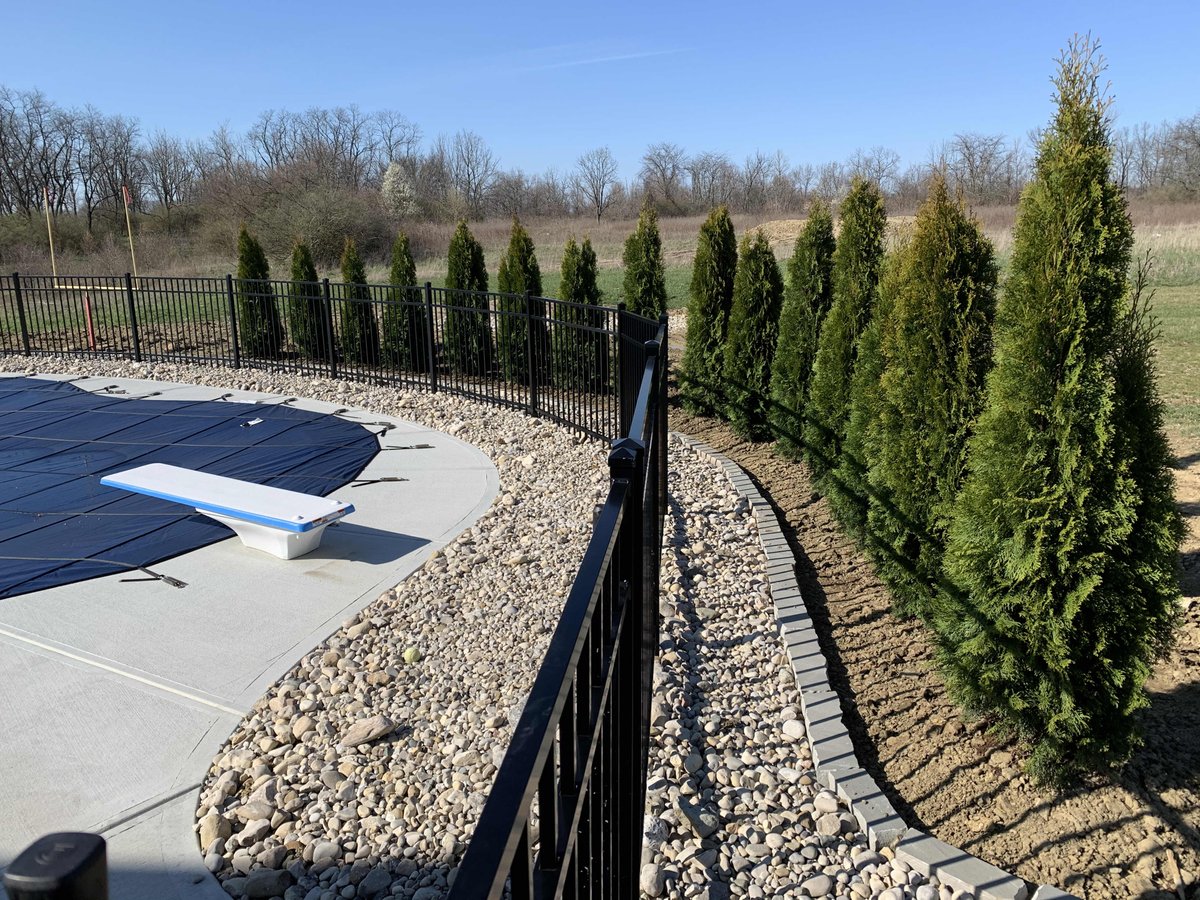 RouseLawn's tweet photo. It was a record breaking week for the crew! We planted 36 Arborvitae trees. These trees are great for privacy or adding depth to your landscape.  They will grow approximately 3-4 feet wide and 10-12 feet tall. https://t.co/zWUq7ZHSOT