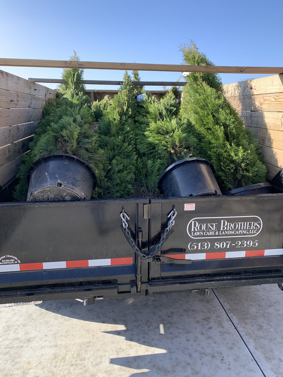 RouseLawn's tweet photo. It was a record breaking week for the crew! We planted 36 Arborvitae trees. These trees are great for privacy or adding depth to your landscape.  They will grow approximately 3-4 feet wide and 10-12 feet tall. https://t.co/zWUq7ZHSOT