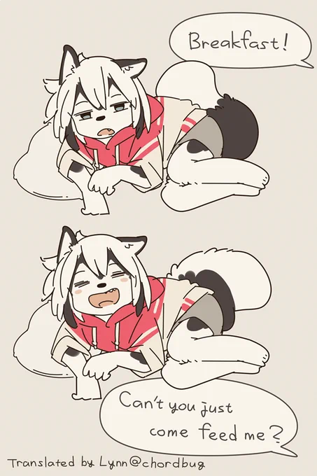 Husky who's not a morning person. 