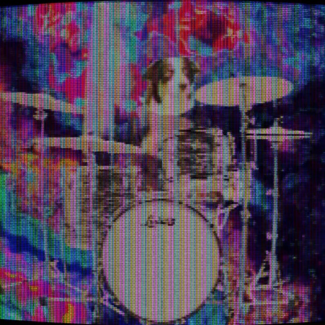 twodogsnowater's tweet photo. “POISON SONG” VIDEO...SOON! ⚡️⚡️⚡️⚡️⚡️⚡️⚡️ 
#Musicvideo https://t.co/4abX887J3L