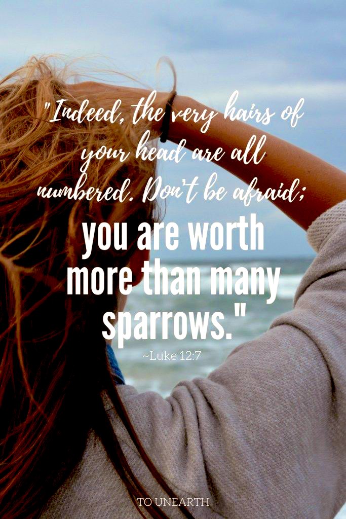 Gloria Preciado on Twitter: "Luke 12:6-7 Are not five sparrows ...