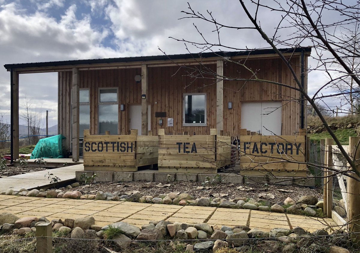 scotteafactory's tweet photo. Busy getting some new beds dug and some potato boxes filled with soil whilst my new tea plants harden off. I’m planning to have as many tea plants as I can around the factory as a demonstration garden. Keep drinking tea and enjoying the small stuff everyone. #springgarden #tea https://t.co/DD471RfPhr