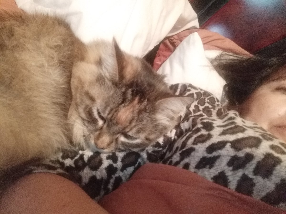 _sandra92's tweet photo. @MarceloSureno Mi gorda 😻 https://t.co/ZKiu7UFcX2