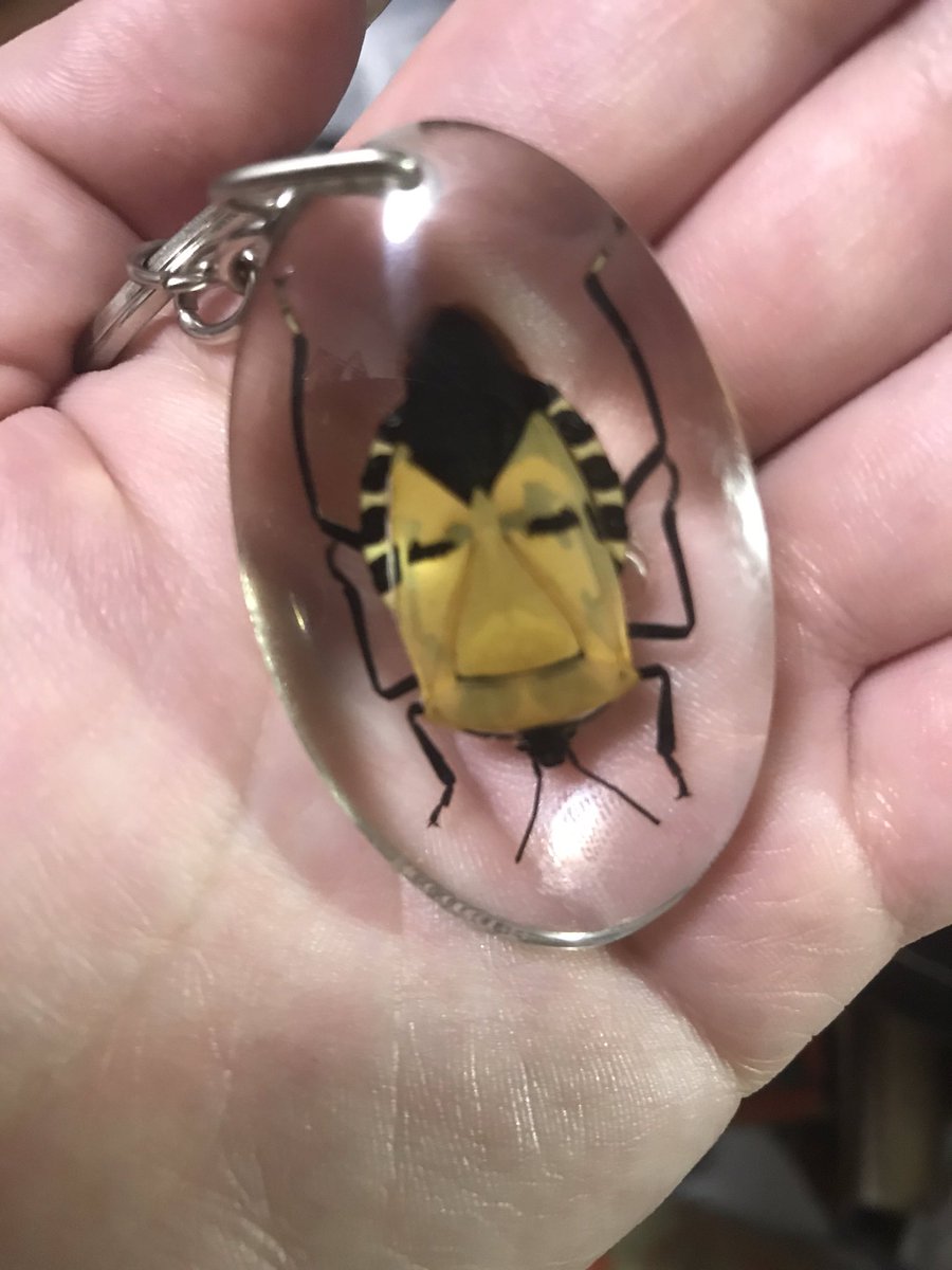 ABCDYY わいわいさん🎉🎂Happy Birthday 🎂🎉 動画内に出てきた