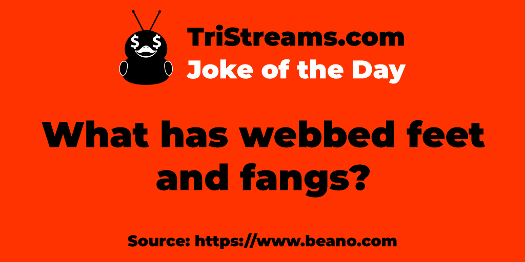 tristreams's tweet photo. What has webbed feet and fangs? --- Count Duckula! #TheDuck #TriStreams #DuckJokes #JokeOfTheDay #goodvibes #CutTheCord https://t.co/JN5E61GKHT