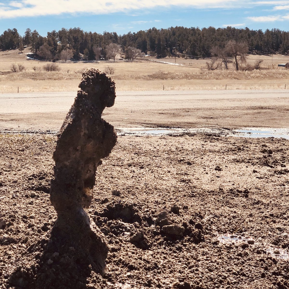HiTestElbert's tweet photo. The last of a dying breed, a once proud Snud looks over the decimation of its tribe. Reduced to dihydrous  oxygen and dust just waiting for the wind.  It ponders its own demise following the deadly vernal equinox. 
#spring #rebirth https://t.co/FEHursJXM5