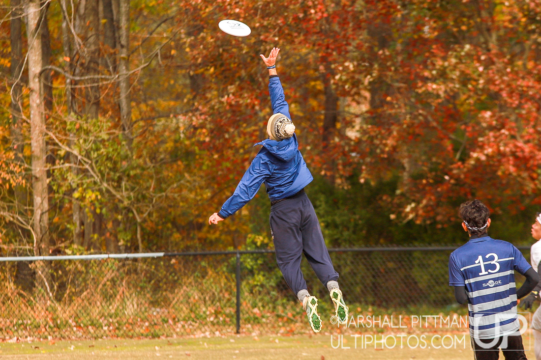 UltiPhotos tweet media