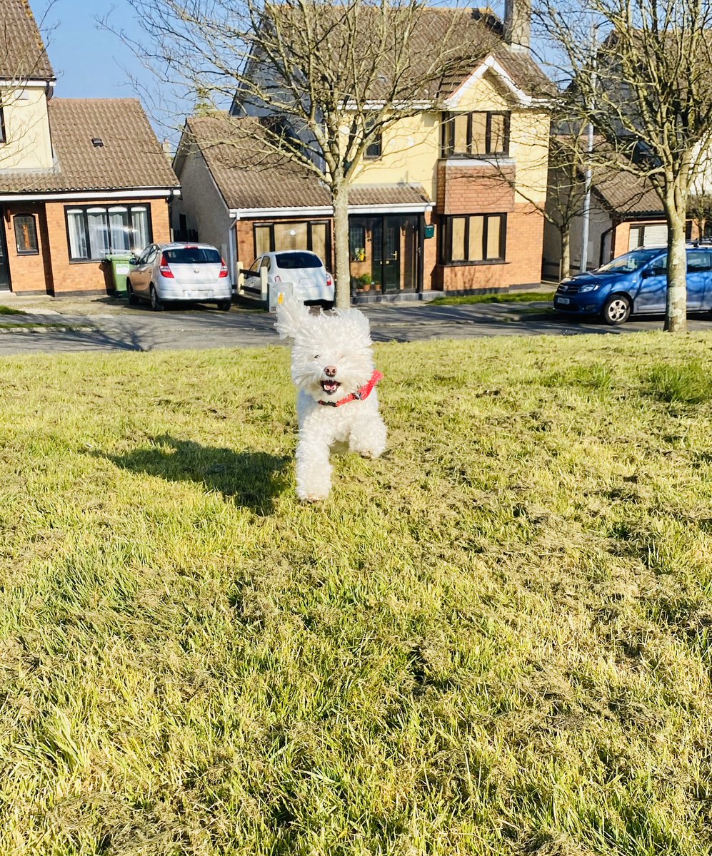 Claire Reidy tweet media