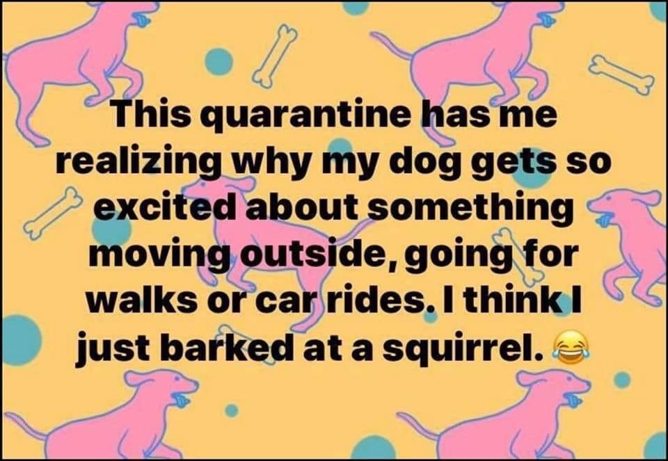 RPD Axel tweet media