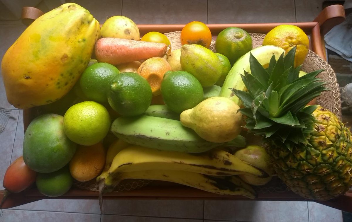 mambre61's tweet photo. Traído a la puerta.
Empacado y escogido, con esmero, por Don Leo.
Hijo de campesinos, economista.
Sin alto costo.
Todo lavado con jabón azul (Rey).
Agua caliente.
Asoleadas. De cosecha. Productos locales, de fincas pequeñas.
Bendiciones de la vida ordinaria, en tiempo de pandemia https://t.co/pXgTrWi3Zd