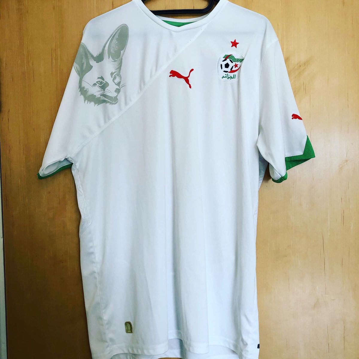 . @LesVerts Home Kit, 2010 @PUMAI’m a huge fan of shirts featuring a country’s national animal. I have a few of those.That was a feature of Puma’s shirts for the 2010 African Cup of Nations, as well as a “Kinte” pattern in the back. Algeria’s kit featured the Fennec Fox.