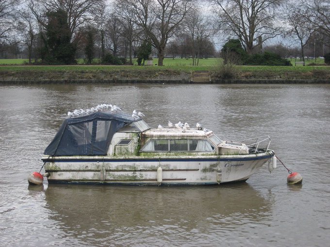 View image on Twitter