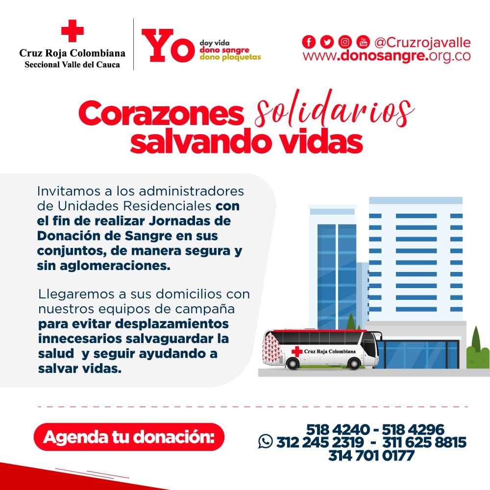 Cruzrojavalle's tweet photo. #SalvaVidas| 👩‍⚕️💉🚑#Donar #sangre es un acto voluntario que puede ser realizado por cualquier persona que tenga entre 18 y 65 años, que pese más de 50kg y que tenga un estado de #salud #óptimo.❤️💪

¡Apóyanos con tu donación!
https://t.co/RVjV2t8p8i
@Cruzrojavalle https://t.co/gHTqZ5tZvo