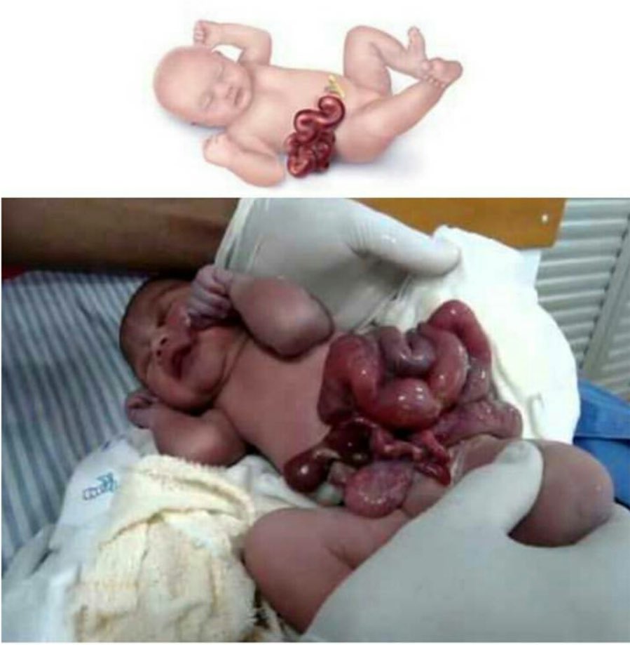 Facultad Medicina Uaq Medicinauaq Twitter