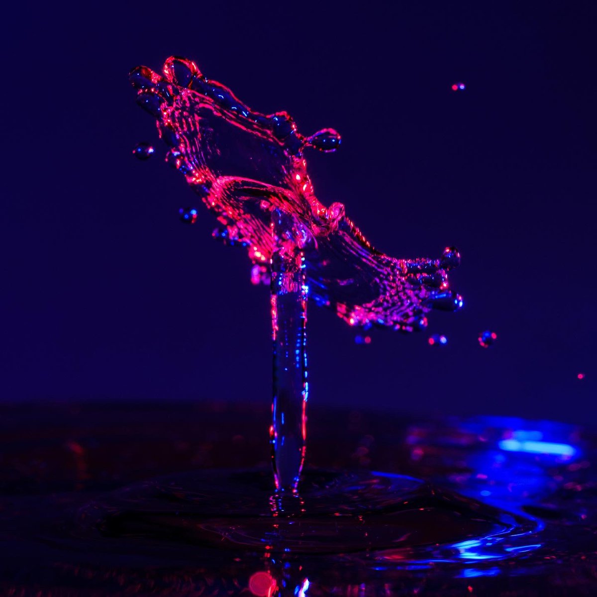scottphoto_va's tweet photo. What’s next on the #quarantine project list? #waterdropphotography! #halo #splitcircle #splash #waterdrop #drop #water #gels #fujifilmxt3 #macro #macrophotography https://t.co/FoRgcid0z5
