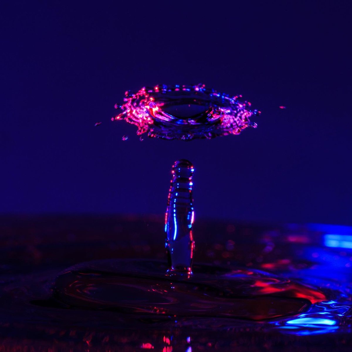 scottphoto_va's tweet photo. What’s next on the #quarantine project list? #waterdropphotography! #halo #splitcircle #splash #waterdrop #drop #water #gels #fujifilmxt3 #macro #macrophotography https://t.co/FoRgcid0z5