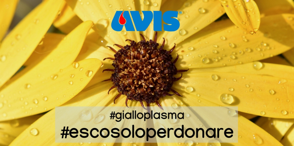 avisnazionale's tweet photo. 💛 Perché c’é bisogno di plasma:
il plasma é composto principalmente da acqua, e contiene  proteine che possono essere isolate e concentrate in laboratorio ed essere utilizzate per la prevenzione ed il trattamento di molte malattie. #escosoloperdonare #gialloplasma #AVIS 
💛 https://t.co/nuJBD740x8