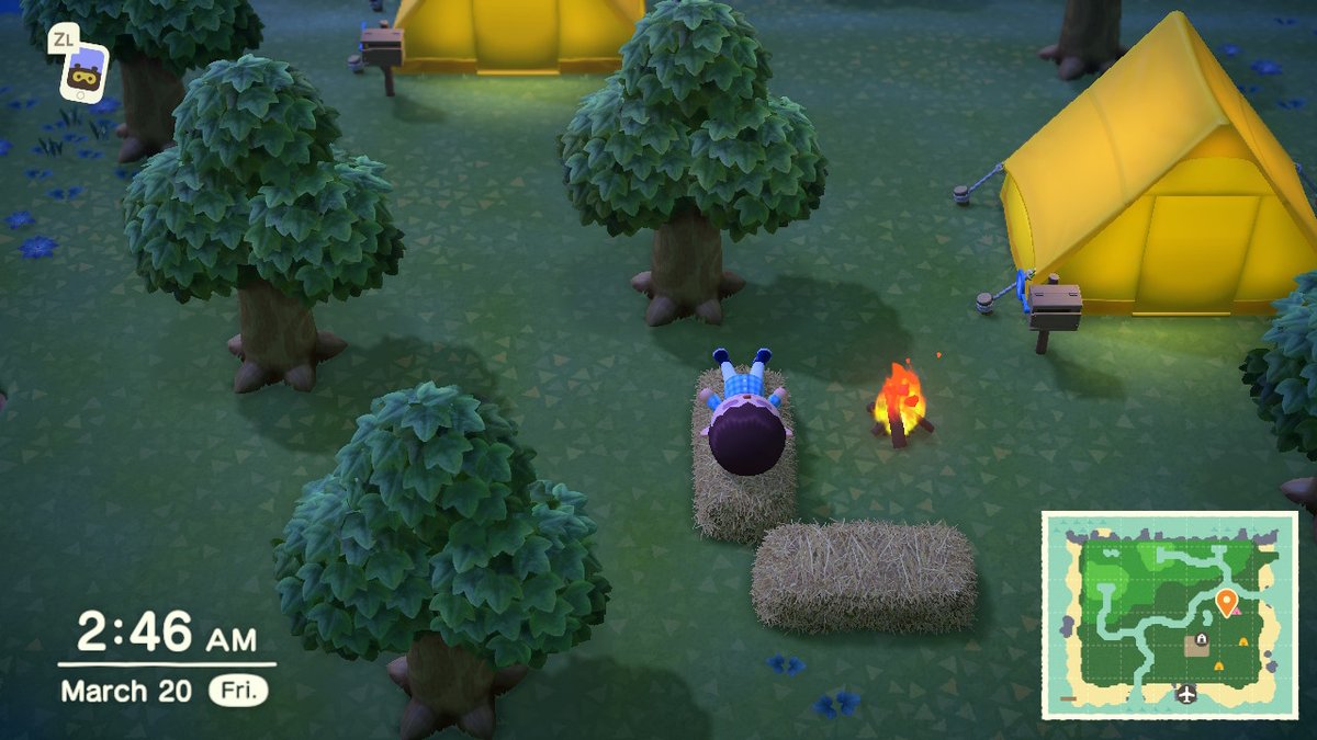 JoshSwitch's tweet photo. #AnimalCrossing #ACNH #NintendoSwitch https://t.co/6f8ROmslJ2