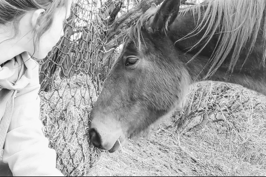 Phillys_Chance's tweet photo. No words, just feel 💜 
#Horses #equineassisted #equine #horselovers #Mindset #mindsetmatters #power #Focus https://t.co/Jg5UmreUFl