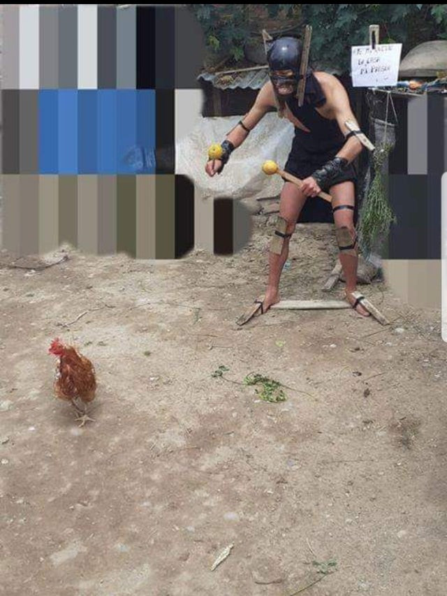 more_mmr's tweet photo. Neia teia an da ka! What carry works best on the lane with Shaman in your opinion?

Best builds and stats for Shaman- https://t.co/PQxiwgUuuy

#funMoreMMR #cosplayMoreMMR https://t.co/o4cc346CUr