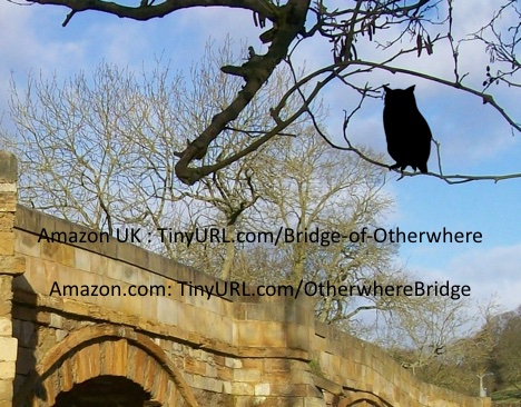 One man, two worlds, three aspects of woman.  TinyURL.com/Bridge-of-Othe…