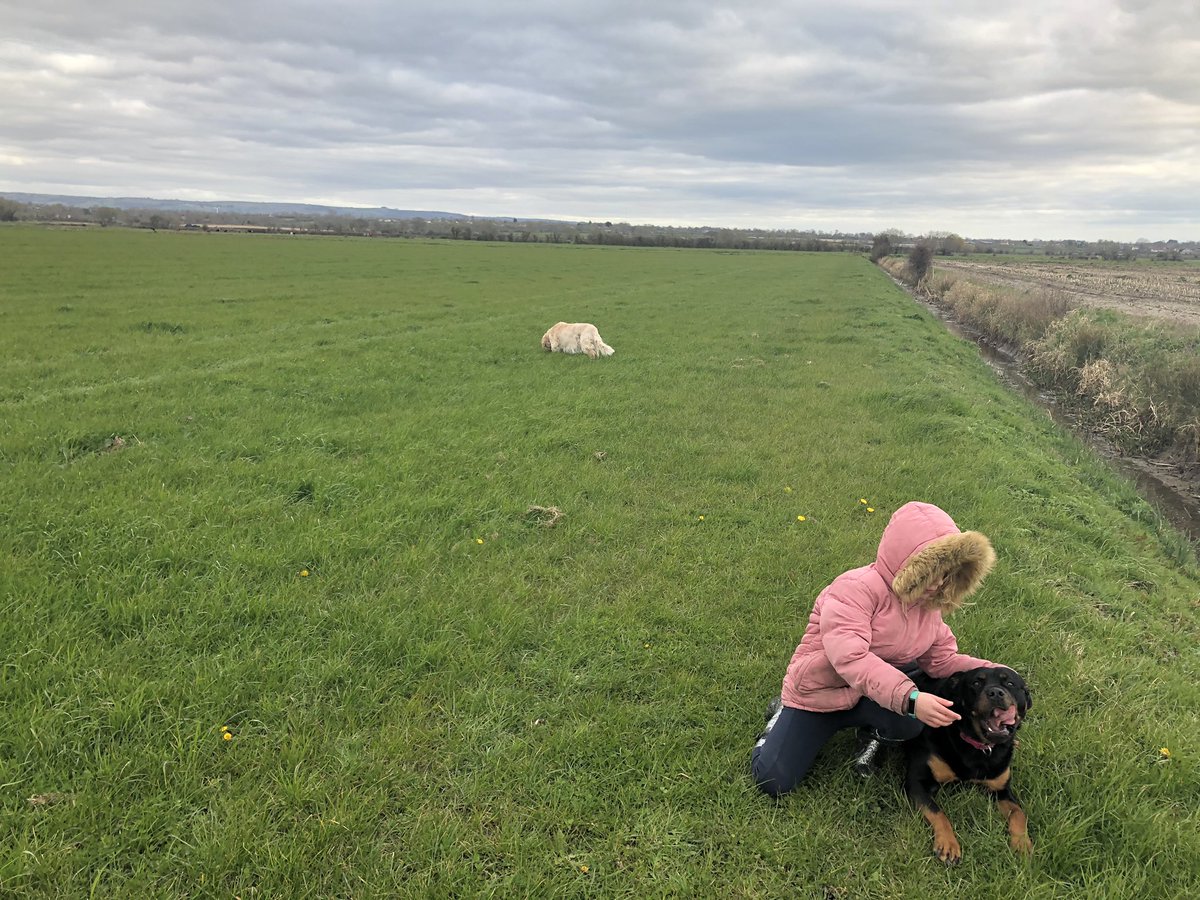 RPUffendell's tweet image. Stunning walk from our 🏠 in #somerset where we saw 🦌 🦢 🐮 🐑 🐴  and herons- all within 2 mile radius from home. Youngest and I had a lovely time with the @MendipHillsAONB as our backdrop #exerciseoutside