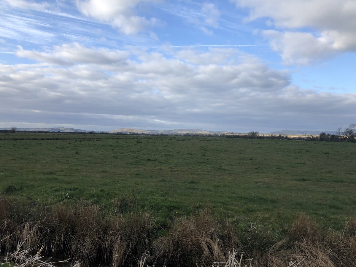 RPUffendell's tweet image. Stunning walk from our 🏠 in #somerset where we saw 🦌 🦢 🐮 🐑 🐴  and herons- all within 2 mile radius from home. Youngest and I had a lovely time with the @MendipHillsAONB as our backdrop #exerciseoutside