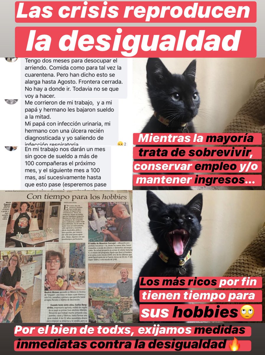 GatitosVsDesig's tweet photo. Holi. Lo que se viene no será nada sencillo. La crisis económica ya está golpeando a la mayoría de la población. Y los testimonios son terribles.⠀
⠀
Mientras tanto, los ricos por fin tienen tiempo para sus hobbies 🤦🏿‍♂️⠀
⠀
Tenemos que exigir políticas sociales contra la... https://t.co/YHNhHYopl6