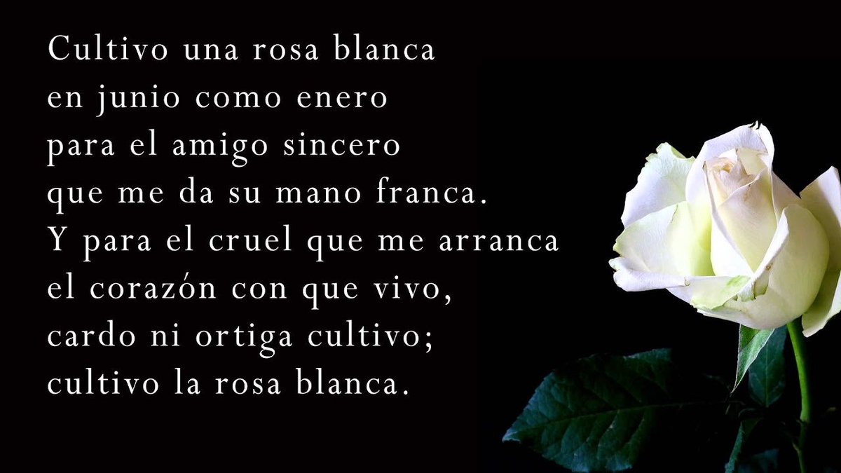 Nathalie Delgado on Twitter: &quot;Cultivo una rosa blanca - José Marti… &quot;