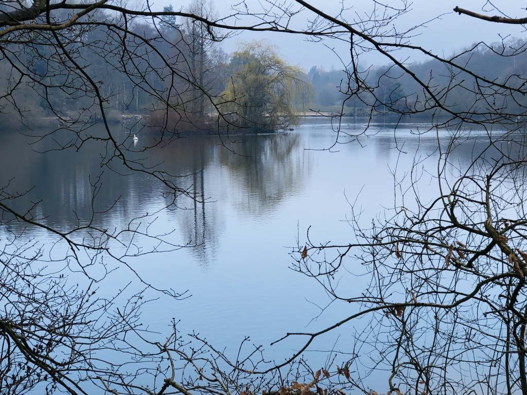 viewftg's tweet image. Missing you viewfromtheground.co.uk/2020/03/28/mis…