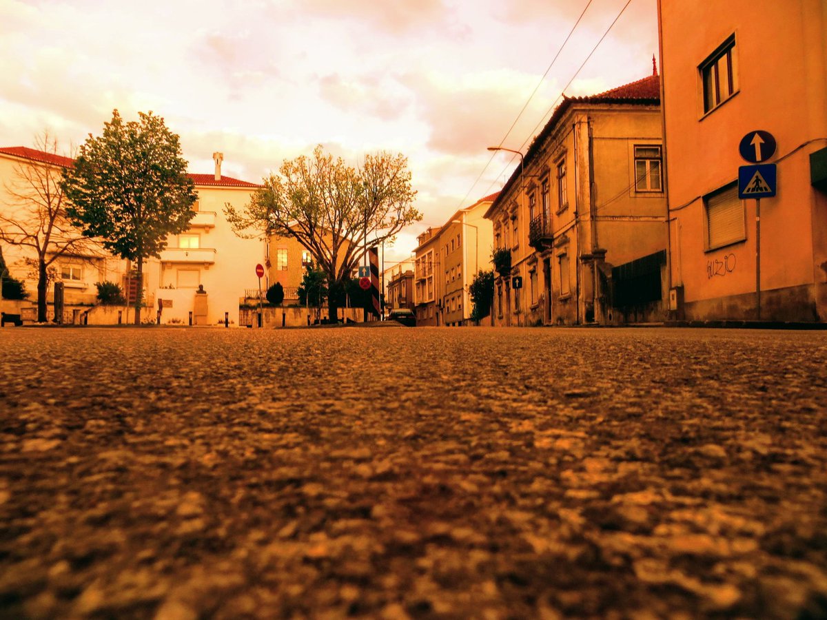 sirbarrilaro's tweet photo. THE EMPTY ROAD
Artistic Zooming Photography @sirbarrilaro © 2020
#sirbarrilaro #Coimbra #MusicVideo #principereal #Lisboa #Roma #Paris #London #NewYorkCity #leonorbeleza #nickcave #NickCaveAndTheBadSeeds #muterecords #bertelsmannST #deutschegrammophon #Covid_19 #coronavirus #4AD https://t.co/LEavXIOYEJ