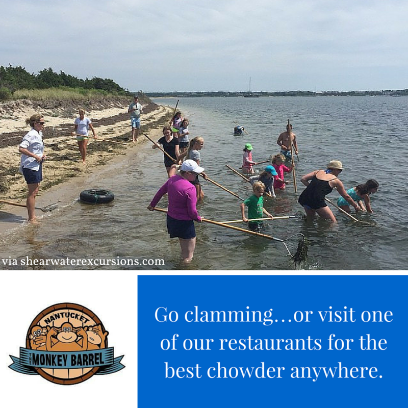 Nantucket never runs out of fun activities! Look out for more tips every week! 🤓💡 #nantucket #themonkeybarrel #38surfside #tips