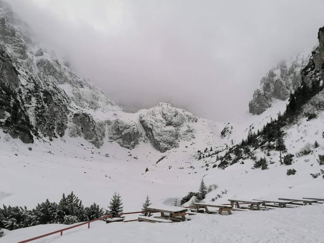 hikingisheaven's tweet photo. Malaiesti 🥰

#hikingisheaven #hikemoreworryless #hikingtrails #hikinginromania #winterwonderland #winter #winterhiking #snowhike #bucegimountains #bucegi #malaiesti #mountainlove #mountains #amazingnature #naturephotography #whenindoubtgohiking #ig_romania #igersromania https://t.co/KEVXPlvVQU