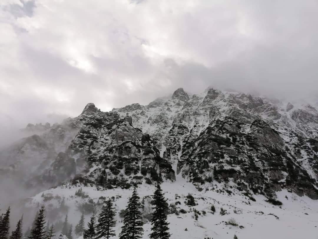 hikingisheaven's tweet photo. Malaiesti 🥰

#hikingisheaven #hikemoreworryless #hikingtrails #hikinginromania #winterwonderland #winter #winterhiking #snowhike #bucegimountains #bucegi #malaiesti #mountainlove #mountains #amazingnature #naturephotography #whenindoubtgohiking #ig_romania #igersromania https://t.co/KEVXPlvVQU