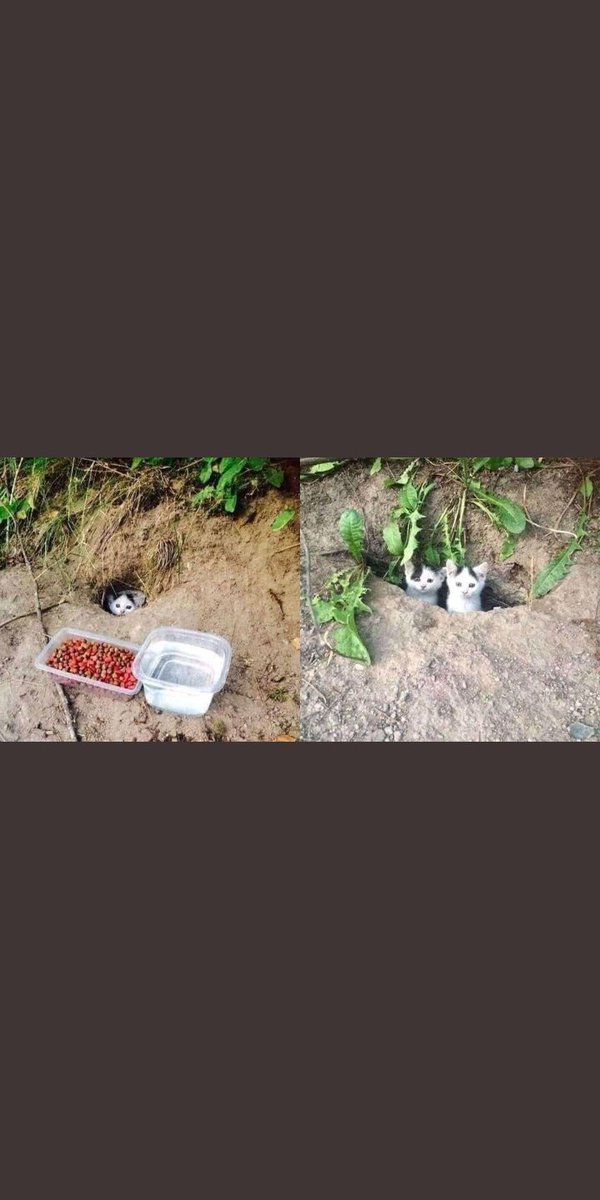 burak_ars000's tweet photo. Sevdiklerimize gelecekte doyasıya sarılmak istiyorsak. Şimdi bir müddet çıkma.
#48saathiççıkma https://t.co/AJ7tTE2ROv