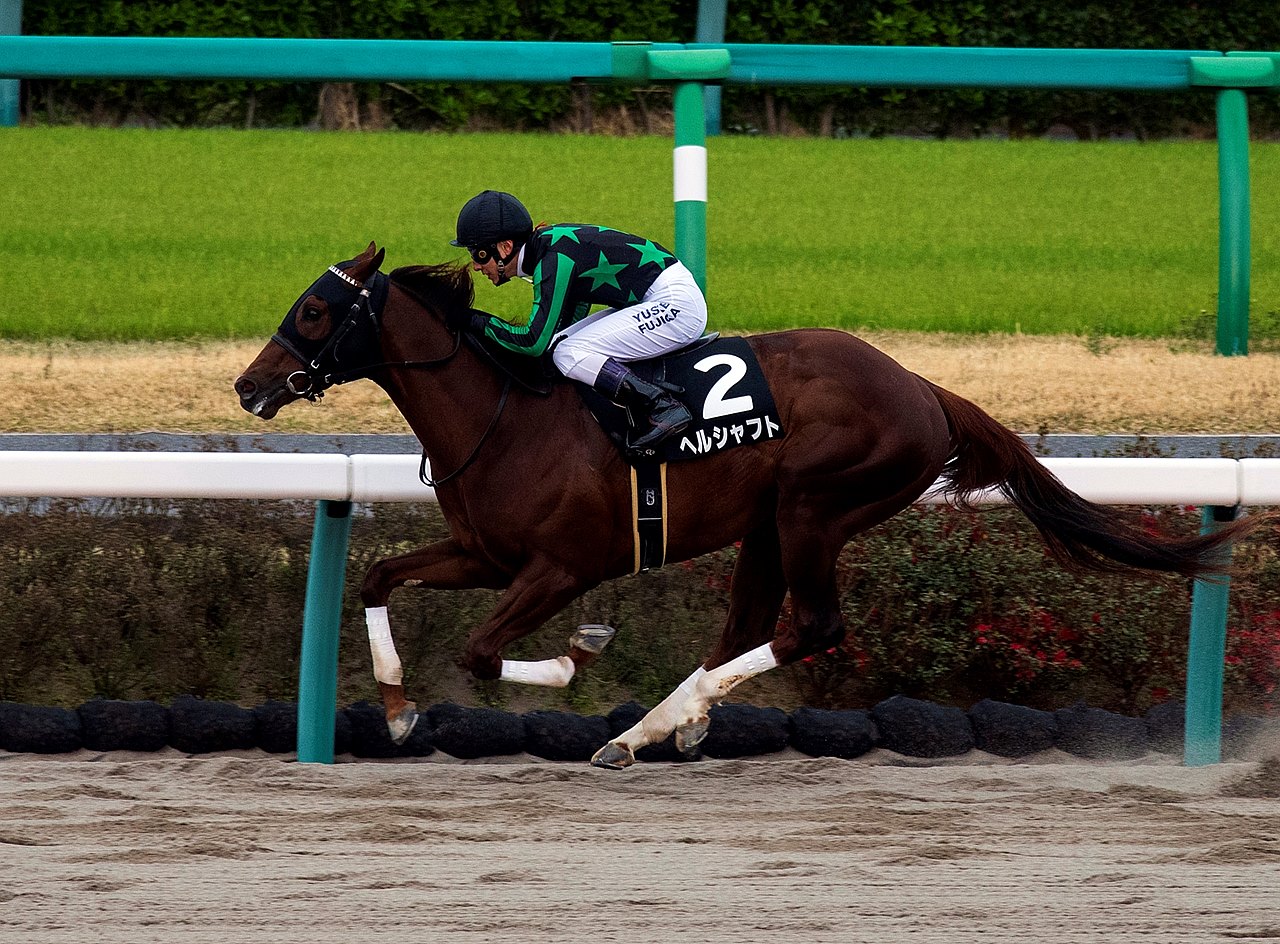 online thoroughbred wagering online thoroughbred wagering