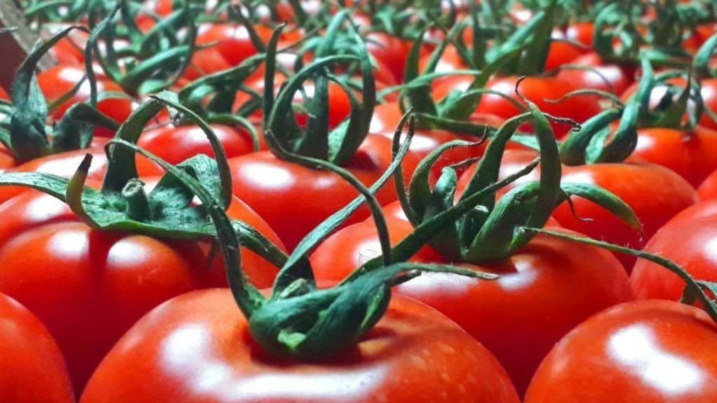 #EvdeKal #Covid_19 #EvdeKalSebzeYe #sizevdekalinbizsizehaberveririz #EvdeKalınCocuklar #bizüretelimsizevdekalın #tazealtazetüket üretici olmaktan gurur duyuyoruz , biz üretelim , siz evde kalın ,  sağlıcakla kalın ..