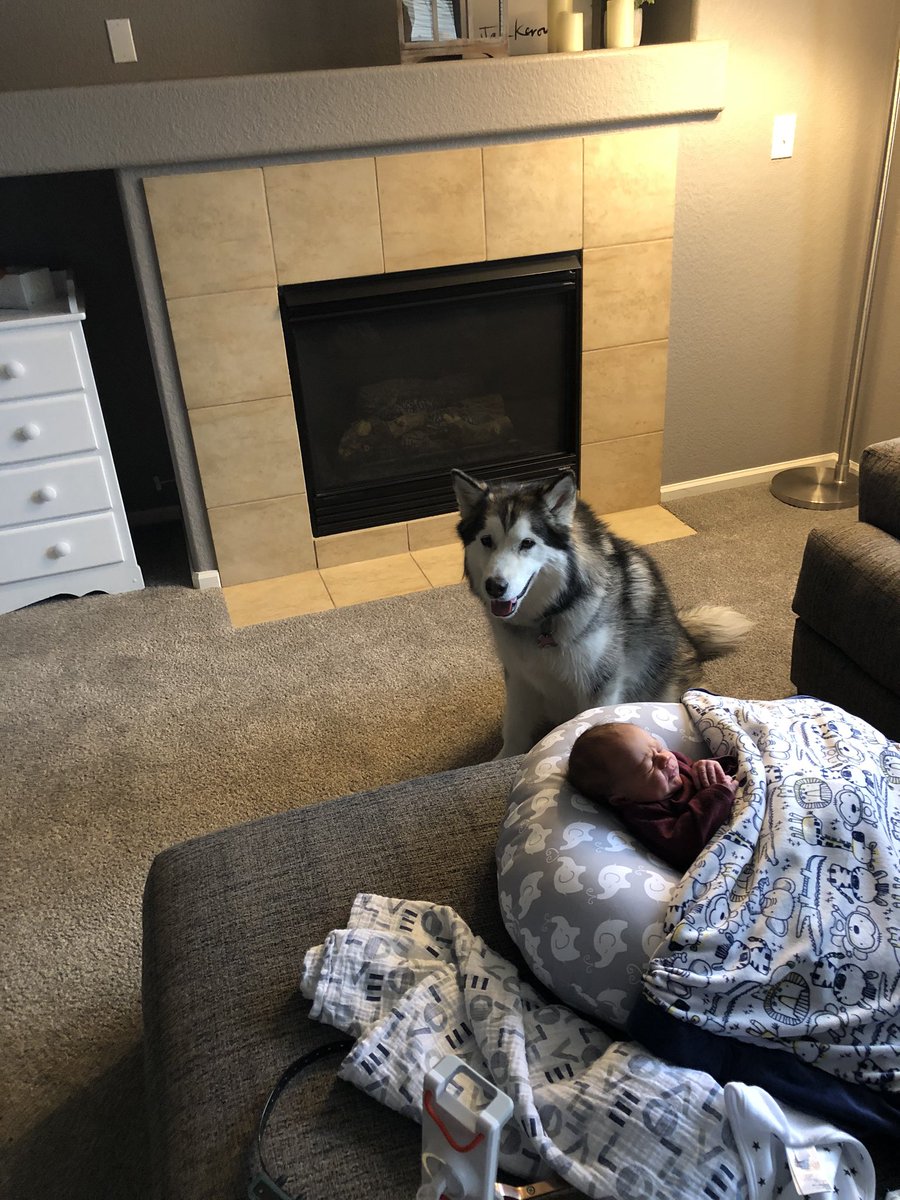 FieldsBrown1's tweet image. What an amazing week! So happy to welcome Aiden Christopher Brown into this world in March 24th at 7:23PM.  @CoachKellyBrown and I can’t wait to share him with everyone. Here’s to health, safety, and happiness; from our family to yours!