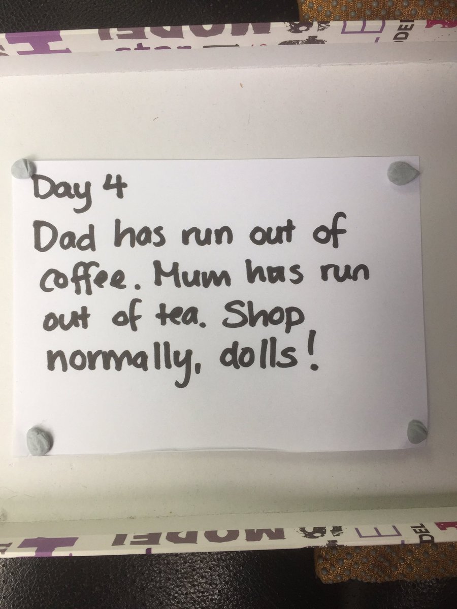 Day 4. Things got desperate so Mum went shopping. Don’t forget to wipe it all down and wash your hands Mum!  #dollshouselockdown  #nzlockdown