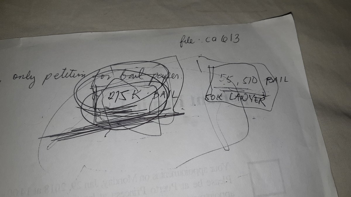 You know we are desperate, and the only way? BAIL. You said 275,000 'processing fee' and 55,510 bail. Without the processing, the bail won't be granted. You see those lines and scribbles? We were doing that while asking you questions because we couldn't believe what we heard.