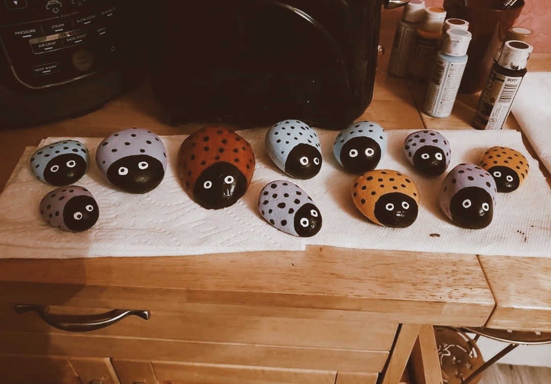 AKoplikDesigns's tweet photo. We are lucky enough to have Tina...the best Customer Service Rep in the world...who is super creative too! Just look at those adorable colorful ladybug 🐞 rocks she painted for her garden while having extra time at home!! Has anybody else tried a new fun art project?? https://t.co/Yz459mWwFn