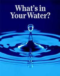 SimplePumpCo's tweet photo. GET YOUR WELL TESTED ONCE A YEAR.
https://t.co/aStMP68ZnY
#handpump #backuppump #deepwellpump #simplepump #emergencybackup #homesteading #offgrid #permaculture #preparedness #prepping #shtf #solarpump #resilience https://t.co/FQZPOMLorV